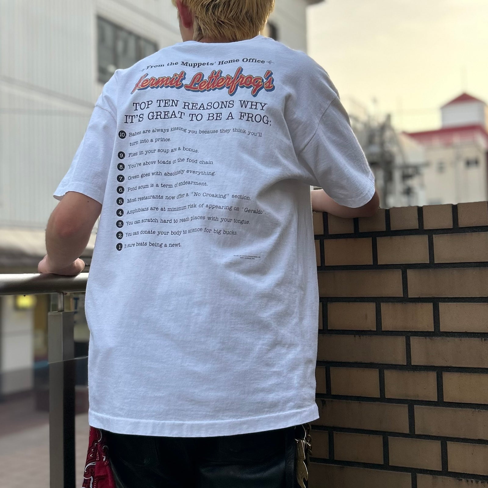 VINTAGE ヴィンテージ 00's Sarcasm サーカズム メッセージTシャツ サイズL プリント ブラック ホワイト レッド 美品 中古 4b001539 古着Tシャツ】キャラクター Kermit the Frog 