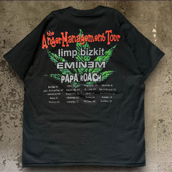 【古着Tシャツ】音楽  Limp Bizkit  ”Anger Management Tour”