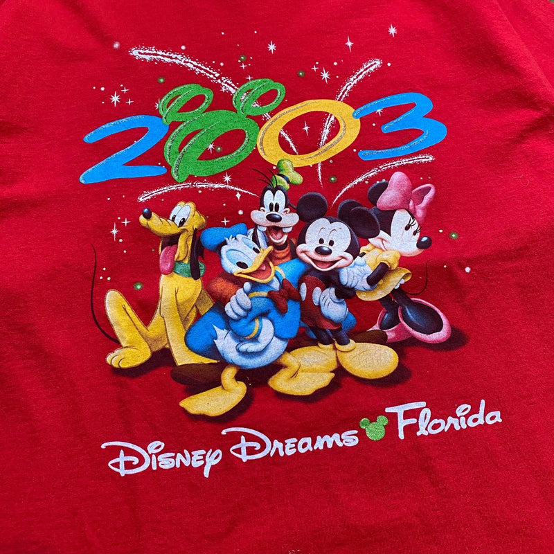 【古着Tシャツ】グッドレギュラー 00s DELTA  Disney Dreams Florida 2003