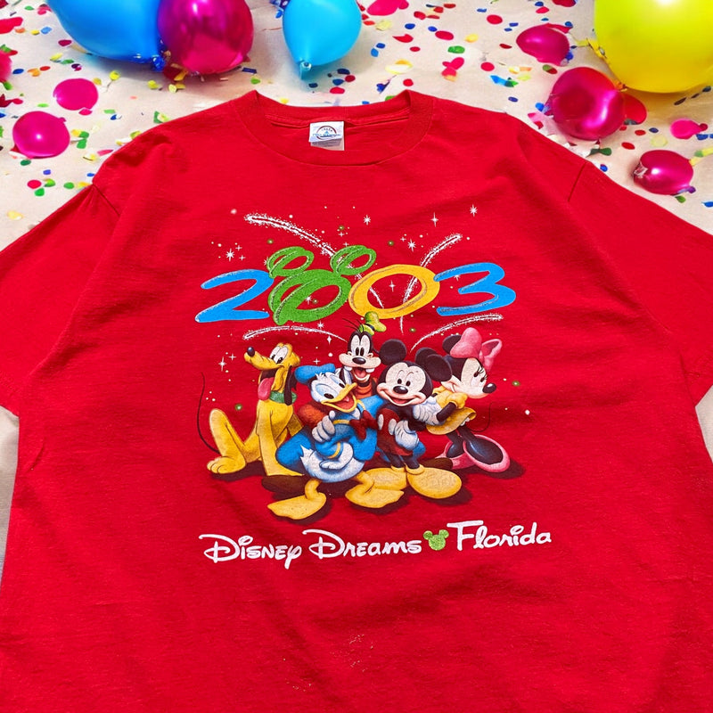 【古着Tシャツ】グッドレギュラー 00s DELTA  Disney Dreams Florida 2003