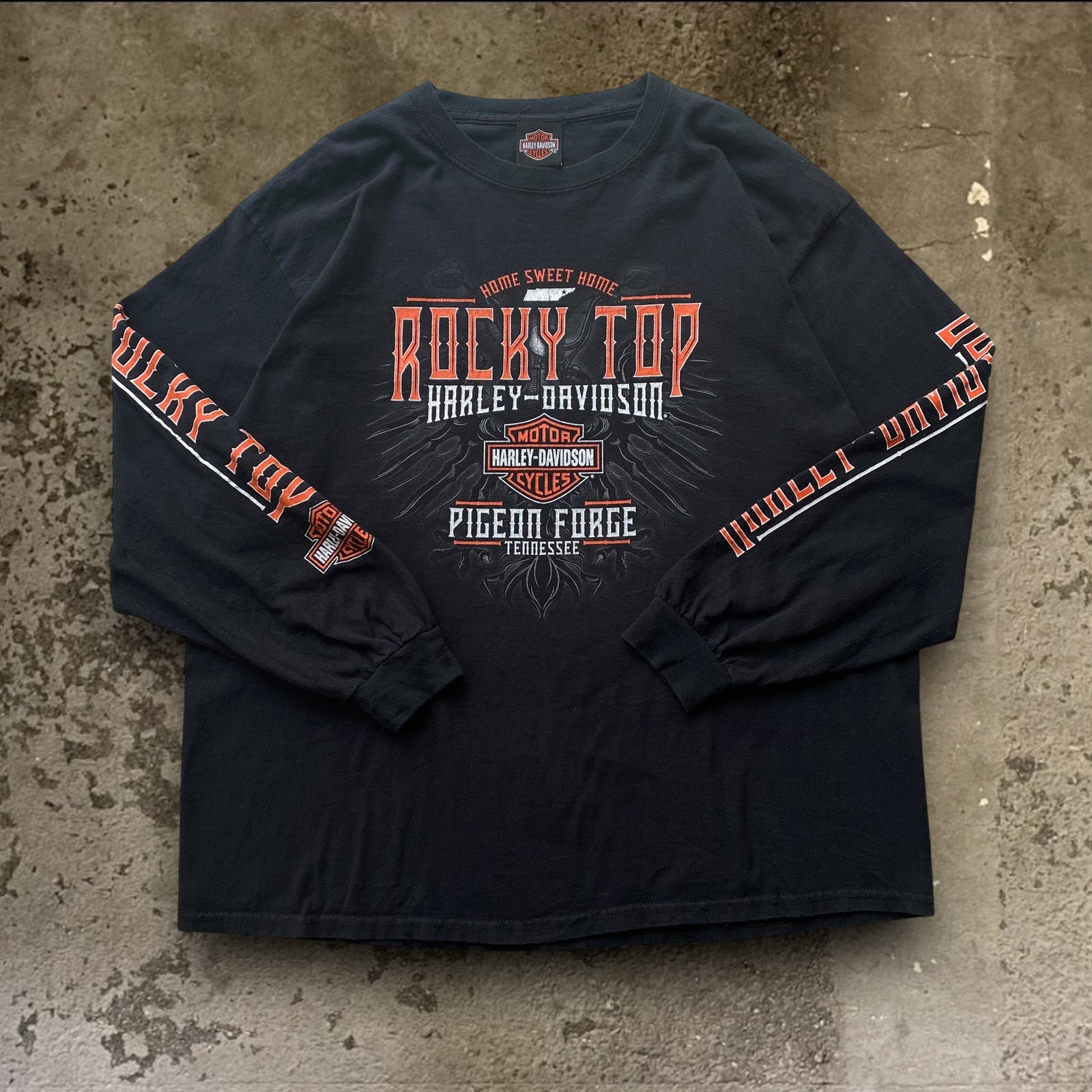 ライジングイーグルロングスリーブTシャツ -ハーレー