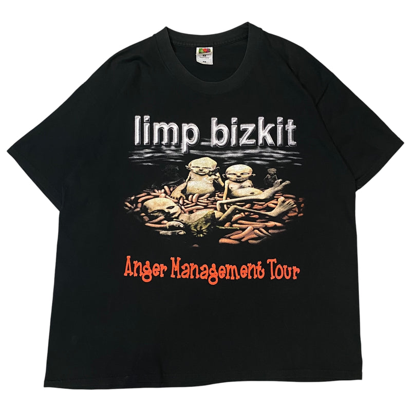 【古着Tシャツ】音楽 Limp Bizkit ”Anger Management Tour”