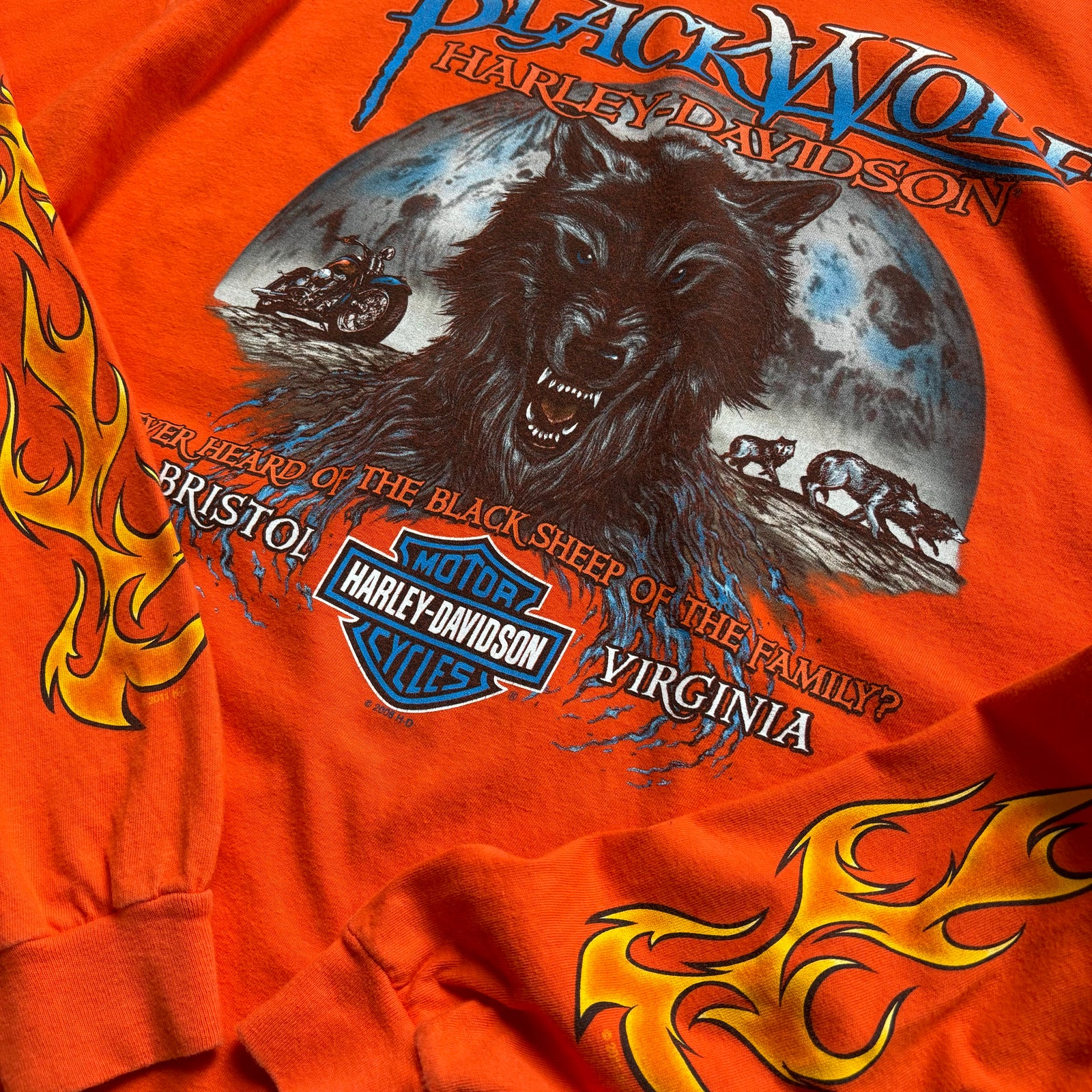 古着Tシャツ】企業 00s Harley-Davidson デザインL/s Tシャツ