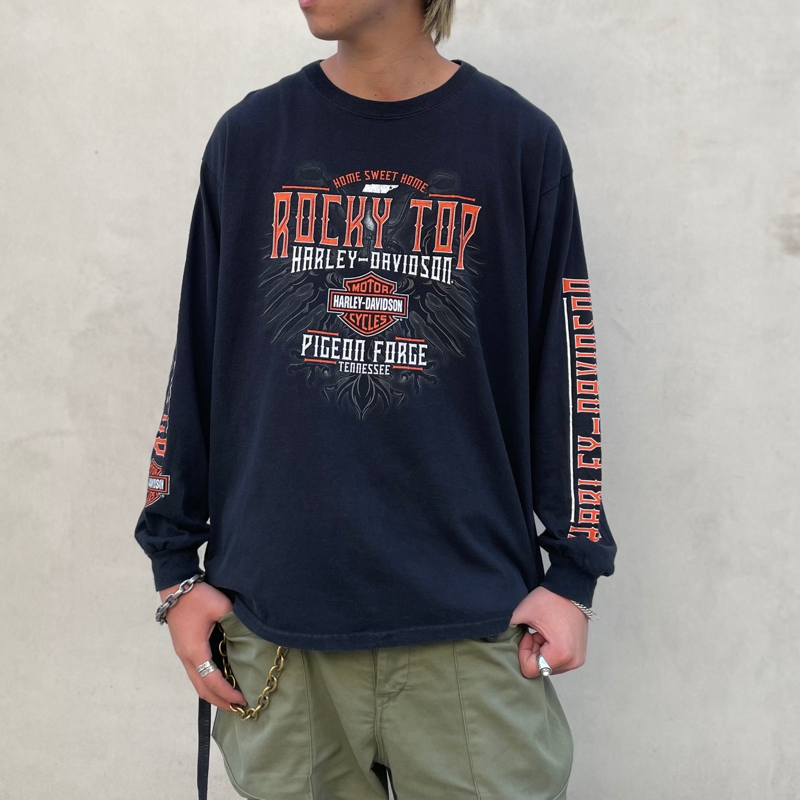 古着Tシャツ】企業 Harley-Davidson 