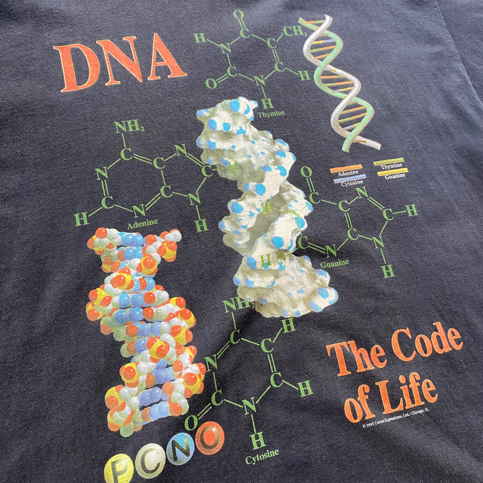 90s Cotton Expressions USA製 DNA Tシャツ art 古着 90s【Cotton Expressions】