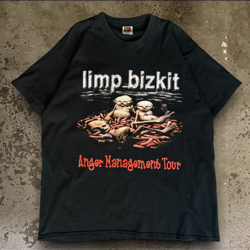 【古着Tシャツ】音楽  Limp Bizkit  ”Anger Management Tour”