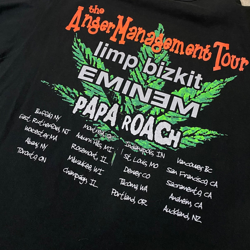 【古着Tシャツ】音楽 Limp Bizkit ”Anger Management Tour”