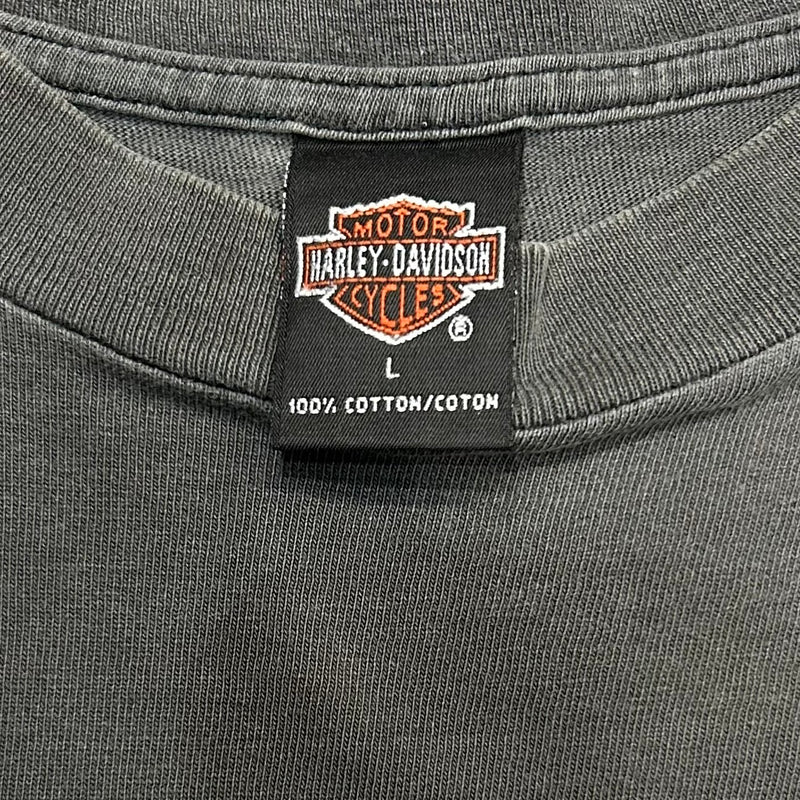 【古着Tシャツ】Harley-Davidson "Fire eagle"