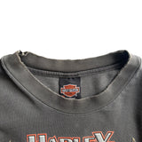 【古着Tシャツ】 Harley-Davidson "Flame Pattern"  long  sleeve T-shirt