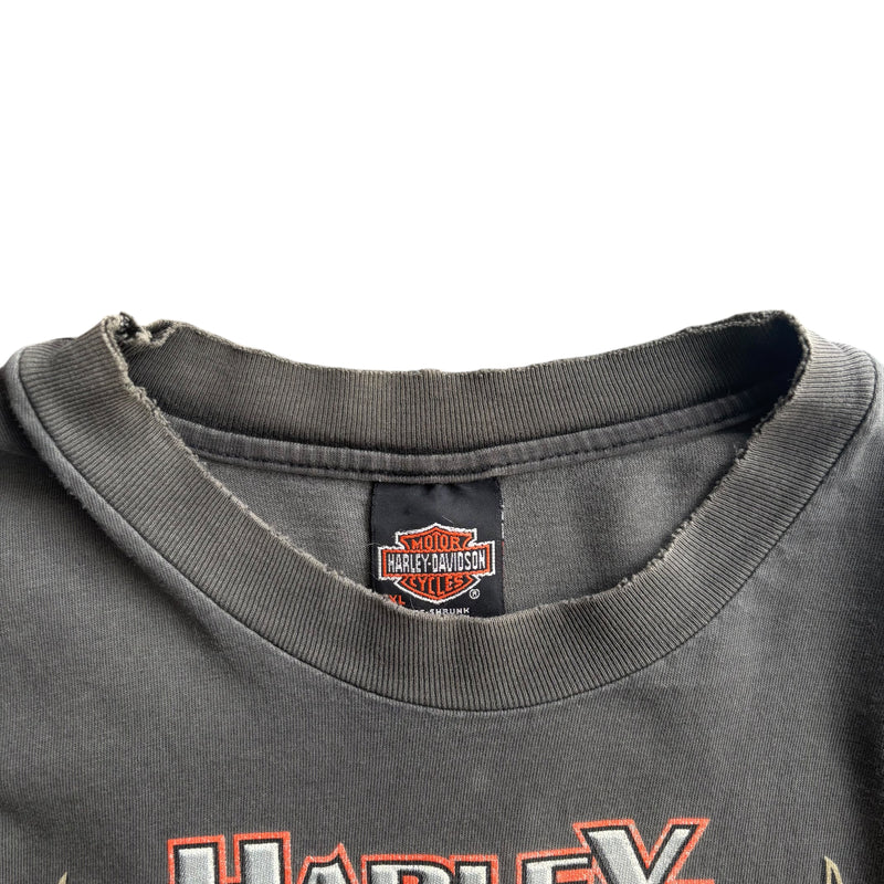 【古着Tシャツ】 Harley-Davidson "Flame Pattern"  long  sleeve T-shirt