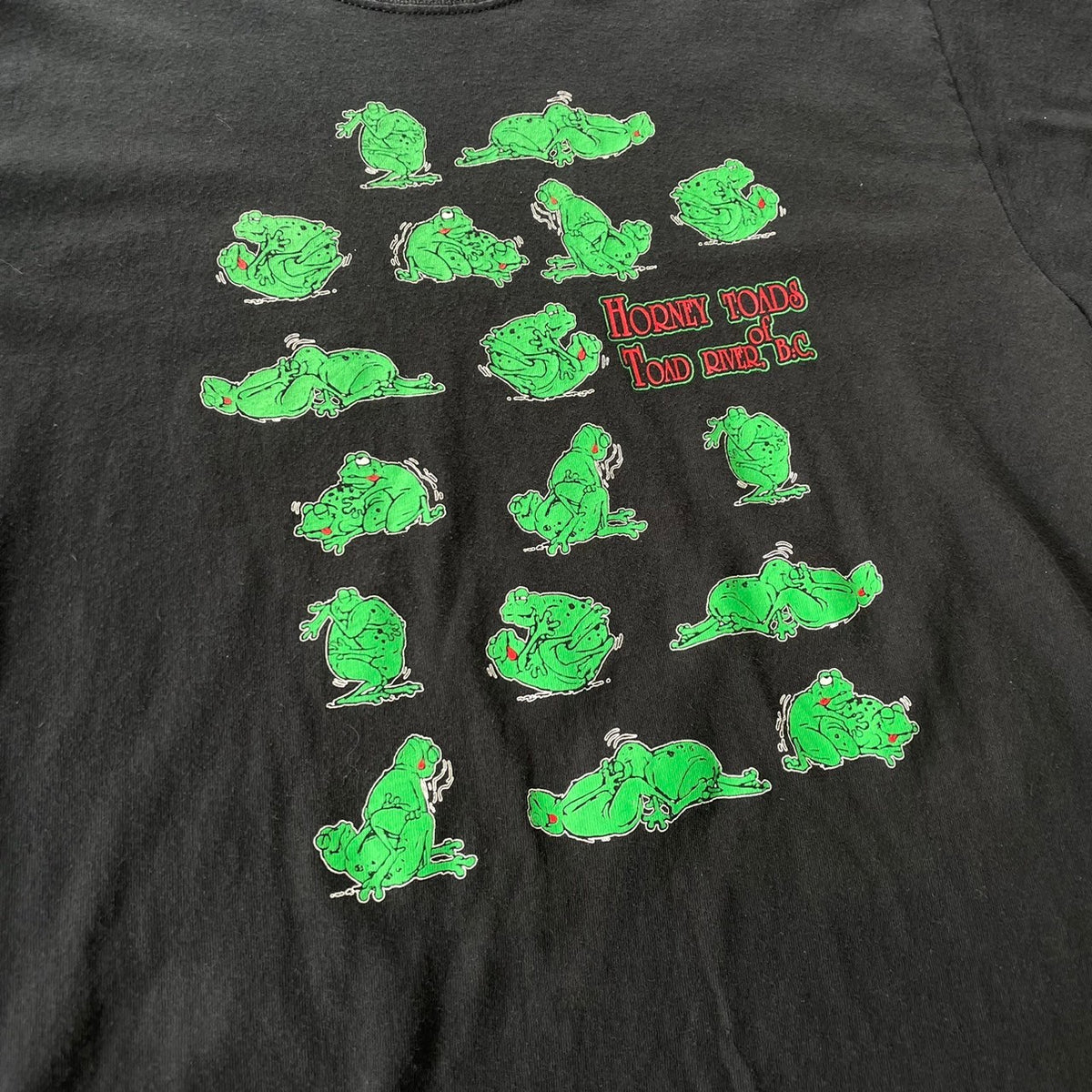 古着Tシャツ】グッドレギュラー 00's カエル