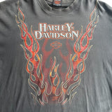 【古着Tシャツ】 Harley-Davidson "Flame Pattern"  long  sleeve T-shirt