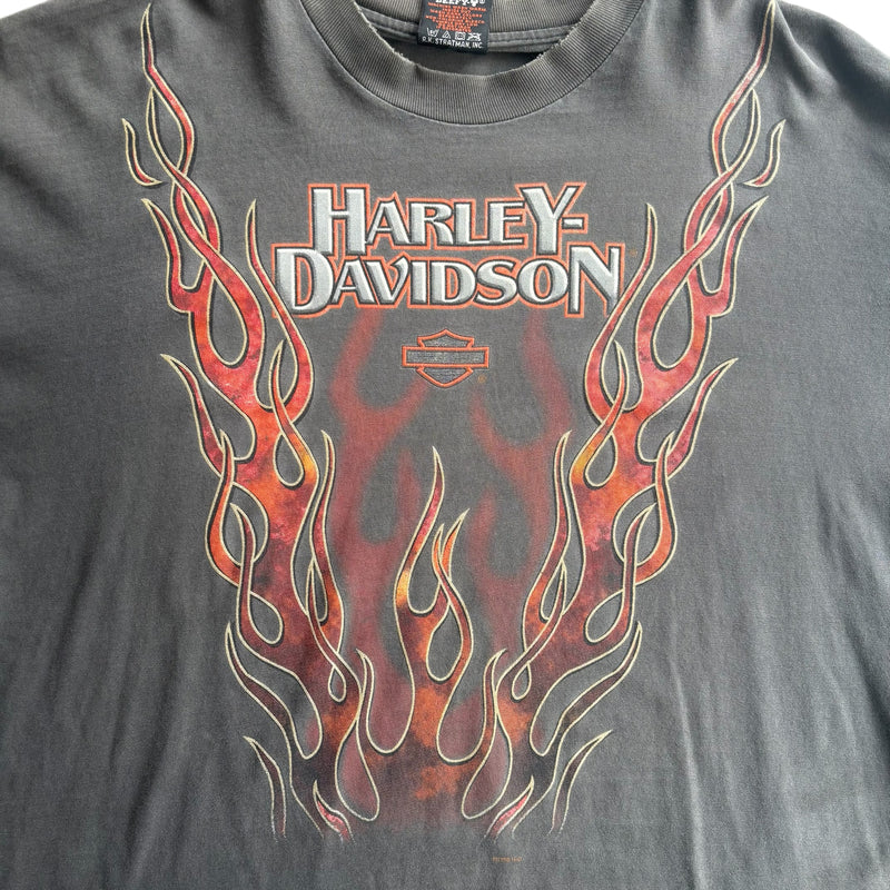 【古着Tシャツ】 Harley-Davidson "Flame Pattern"  long  sleeve T-shirt
