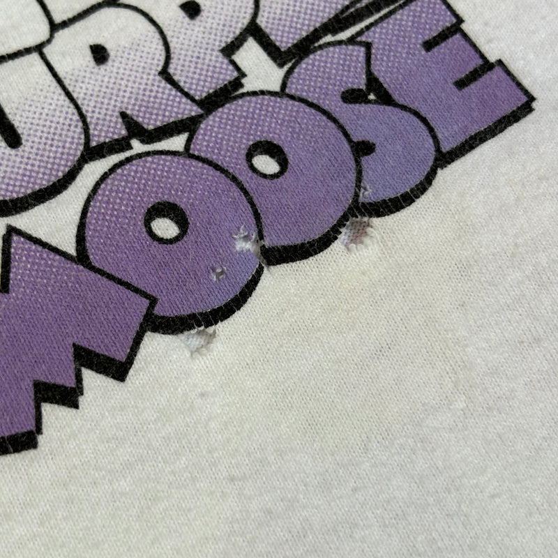 【古着Tシャツ】グッドレギュラー 90s fruit of the room "PURPLE MOOSE"