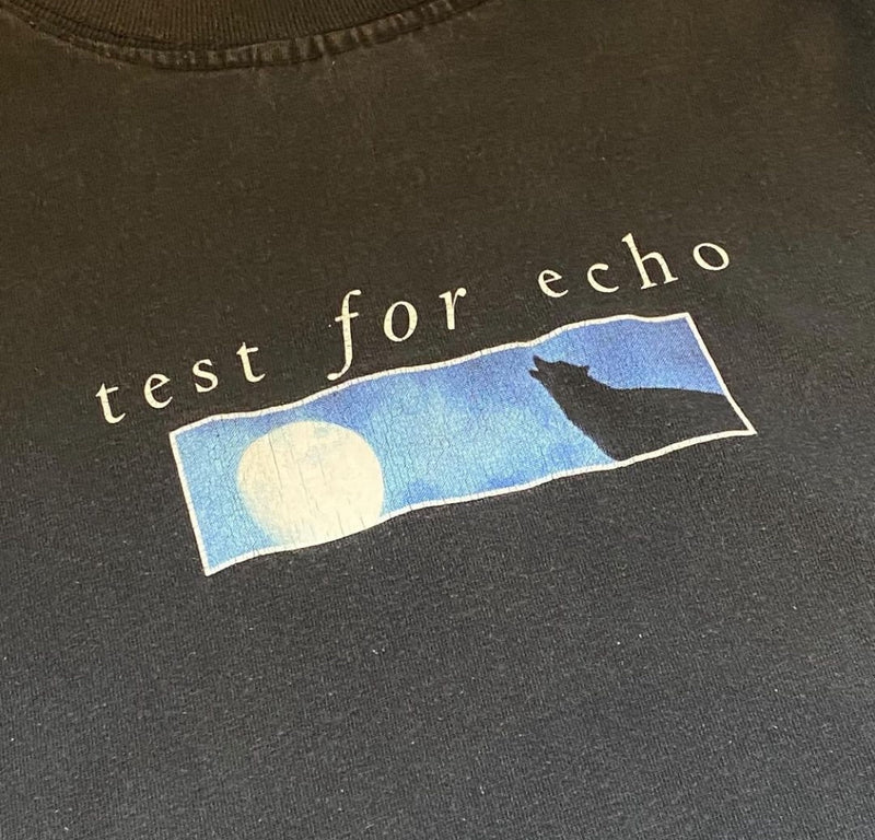 【古着Tシャツ】音楽 90s NICEMAN Rush "test for echo"