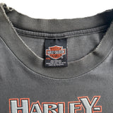 【古着Tシャツ】 Harley-Davidson "Flame Pattern"  long  sleeve T-shirt
