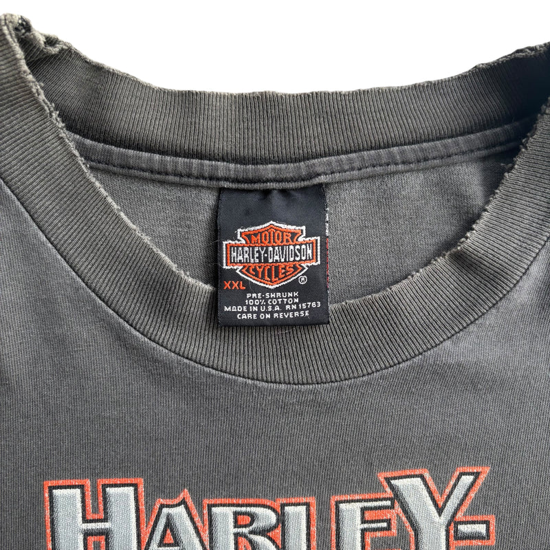 【古着Tシャツ】 Harley-Davidson "Flame Pattern"  long  sleeve T-shirt
