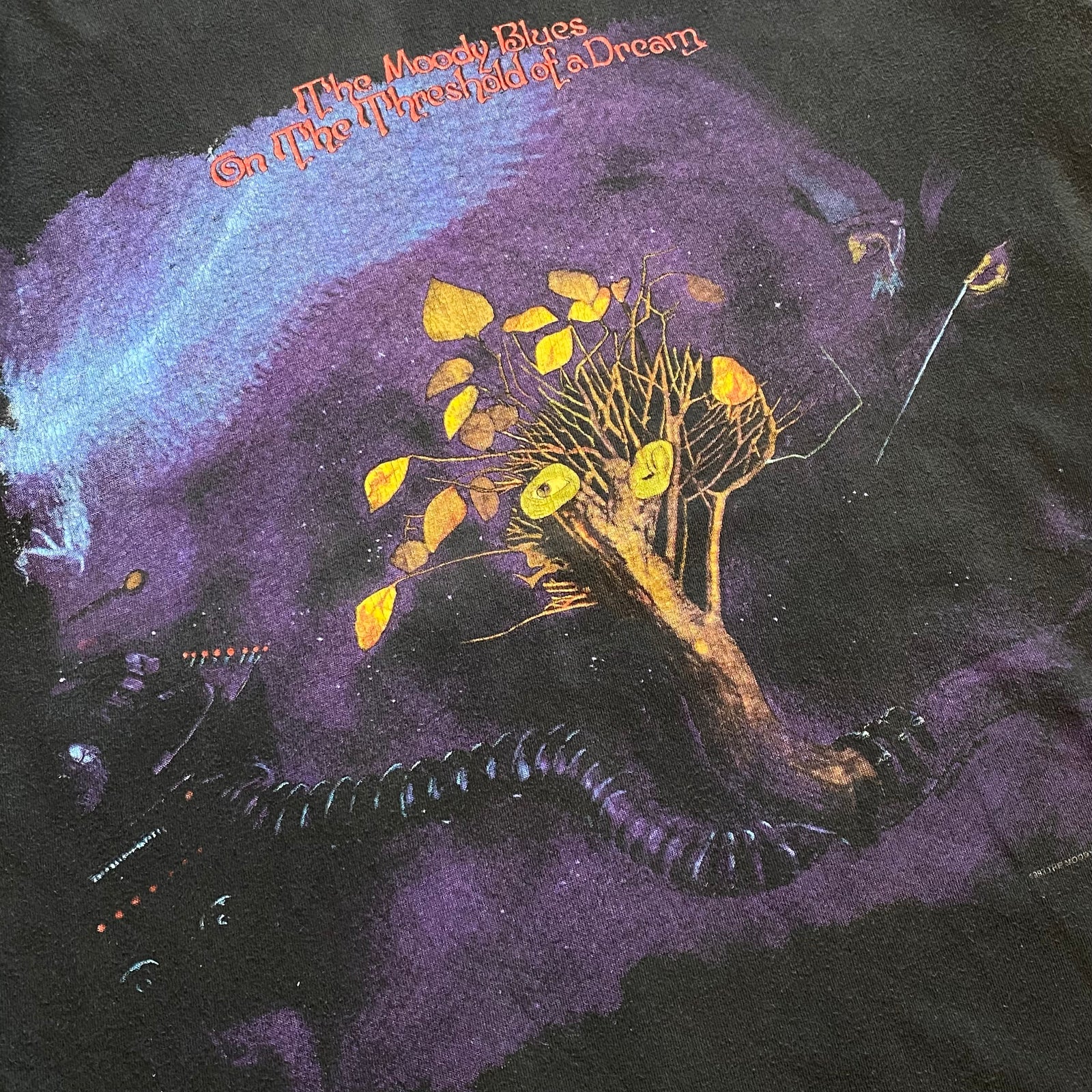 古着Tシャツ】音楽 90s BROCKUM THE MOODY BLUES 