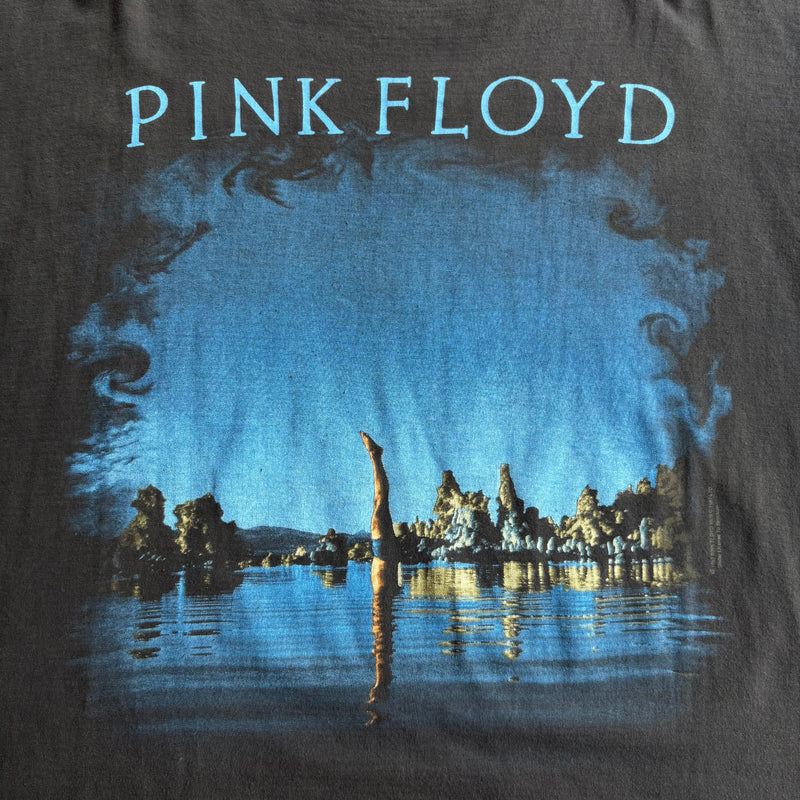 【古着Tシャツ】 Pink Floyd " Wish You Were Here "