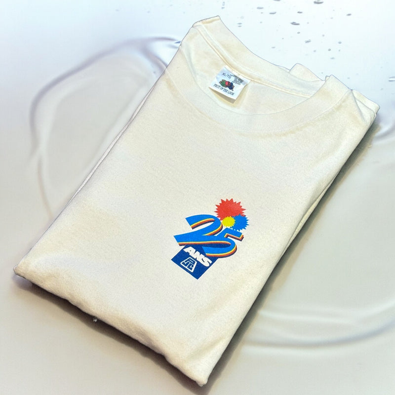 【古着Tシャツ】企業 90s fruit of the room　25 ANS