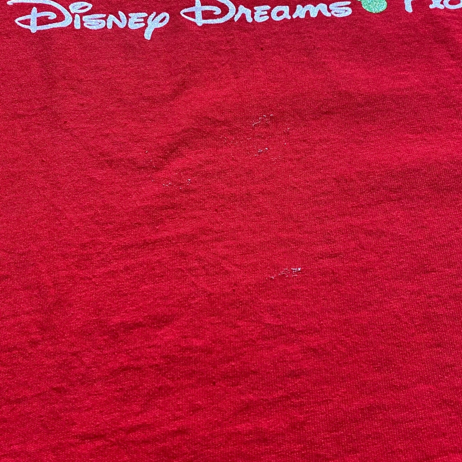 古着Tシャツ】グッドレギュラー 00s DELTA Disney Dreams Florida 2003