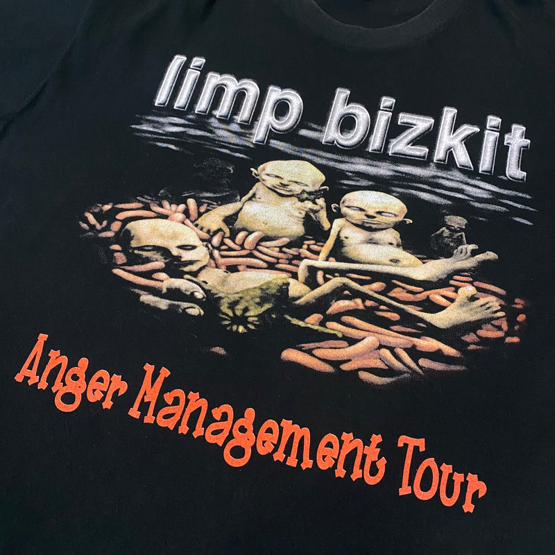 【古着Tシャツ】音楽 Limp Bizkit ”Anger Management Tour”