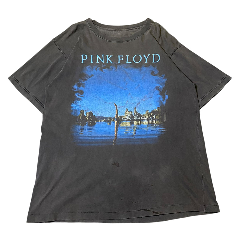 【古着Tシャツ 】音楽 PINK FLOYD "WISH YOU WERE HERE"